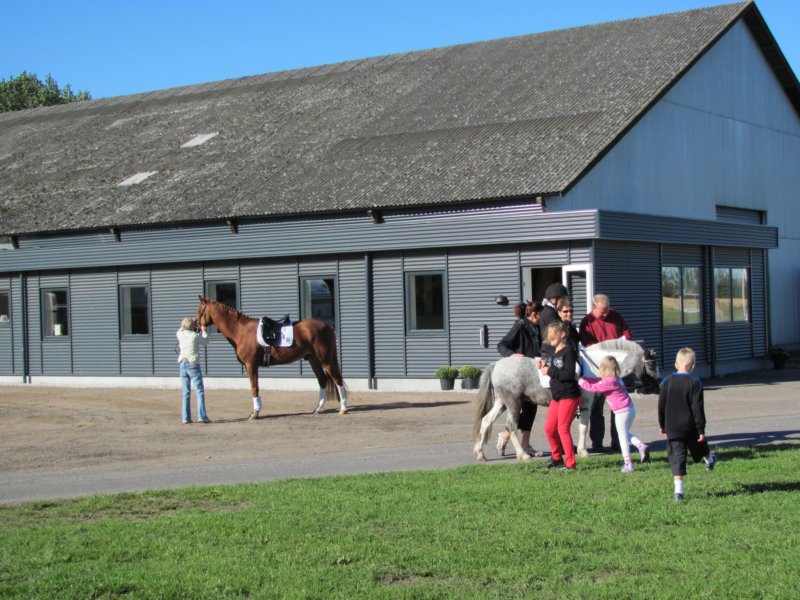 sardressurstvne4aug2010003.jpg