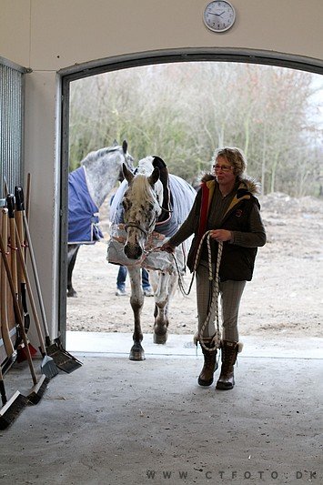 ctfoto_img_0309.jpg