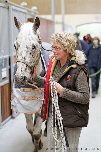 ctfoto_img_0323.jpg