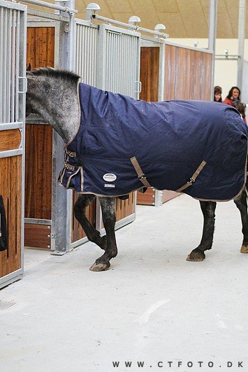 ctfoto_img_0330.jpg