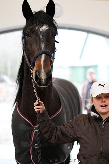 ctfoto_img_0420.jpg