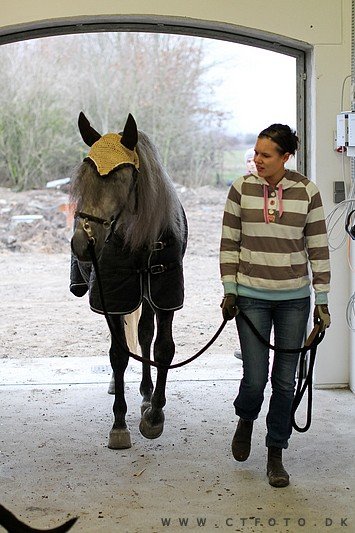 ctfoto_img_0505.jpg