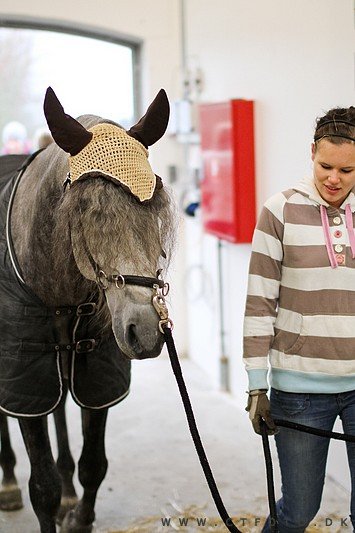 ctfoto_img_0508.jpg