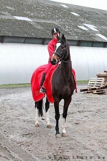 ctfoto_img_0543.jpg