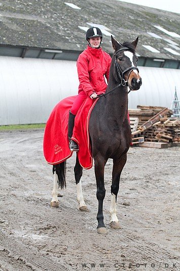 ctfoto_img_0544.jpg