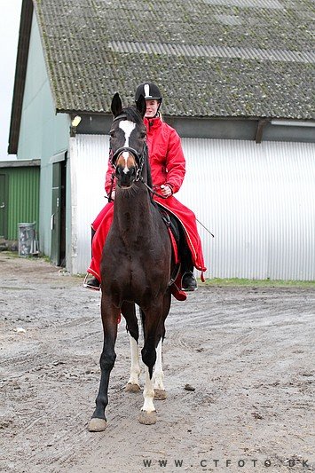 ctfoto_img_0549.jpg