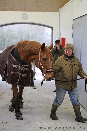 ctfoto_img_0568.jpg
