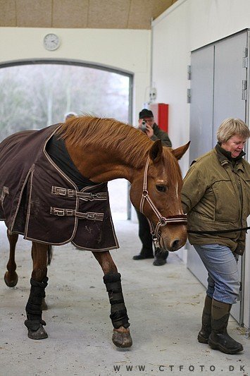 ctfoto_img_0569.jpg
