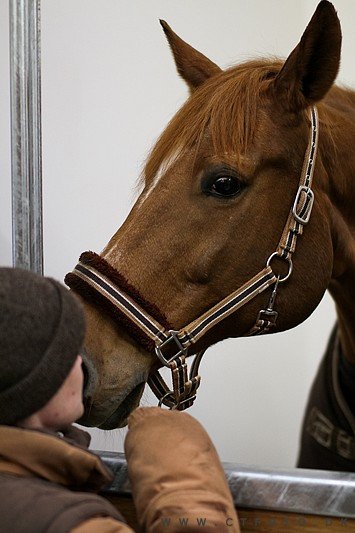ctfoto_img_0576.jpg