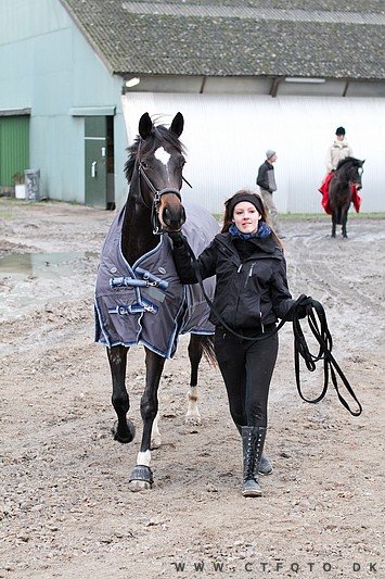 ctfoto_img_0599.jpg