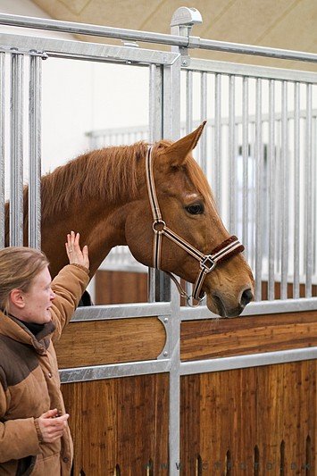 ctfoto_img_0633.jpg