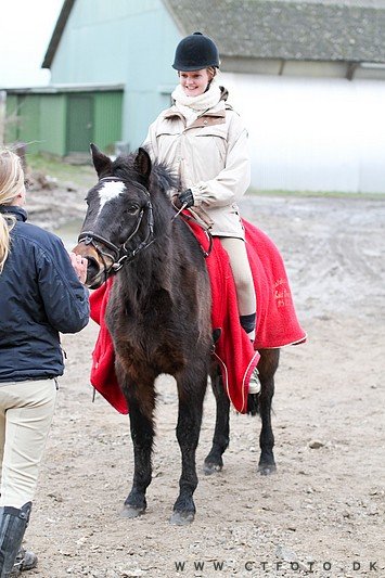 ctfoto_img_0647.jpg