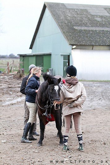 ctfoto_img_0654.jpg