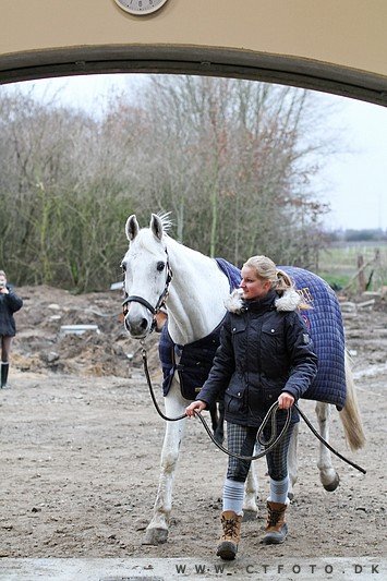 ctfoto_img_0690.jpg