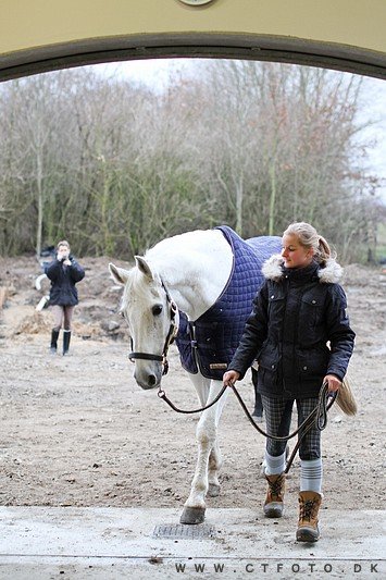 ctfoto_img_0692.jpg