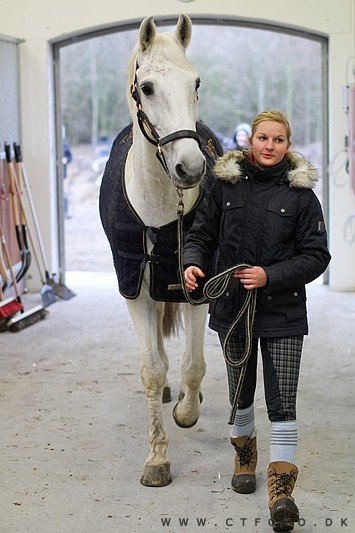 ctfoto_img_0695.jpg