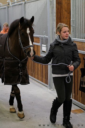 ctfoto_img_0732.jpg