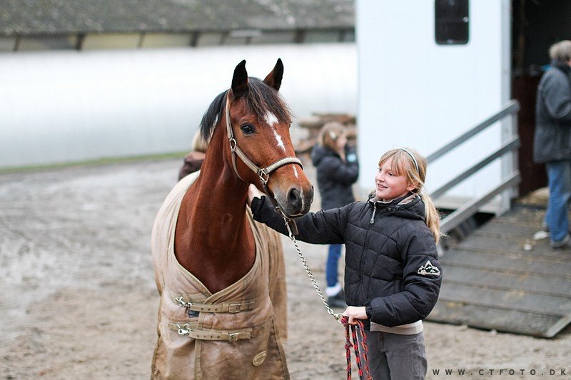 ctfoto_img_0835.jpg