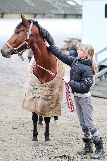 ctfoto_img_0836.jpg