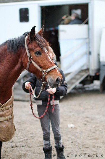 ctfoto_img_0838.jpg