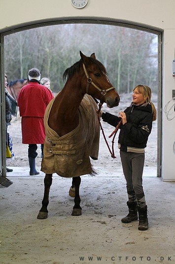 ctfoto_img_0847.jpg