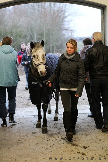 ctfoto_img_0854.jpg