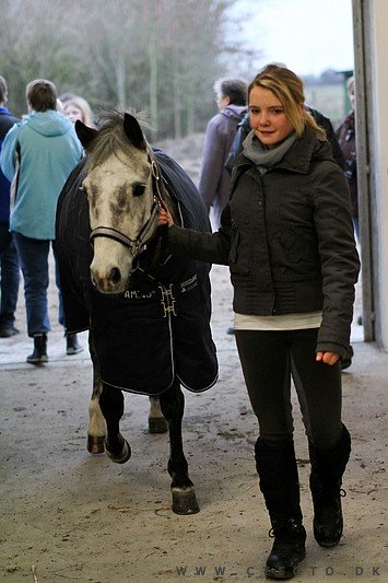ctfoto_img_0857.jpg