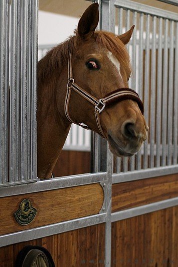 ctfoto_img_0869.jpg