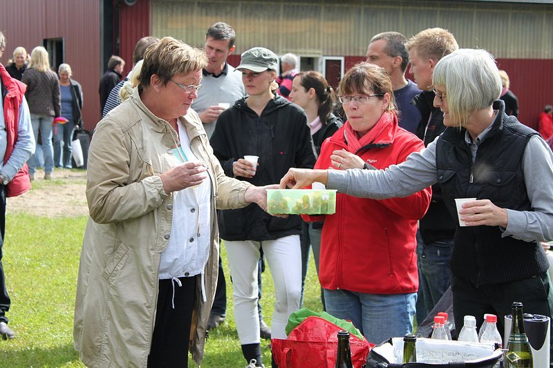 _06_20_d5_holdmesterskab_2010_153.jpg