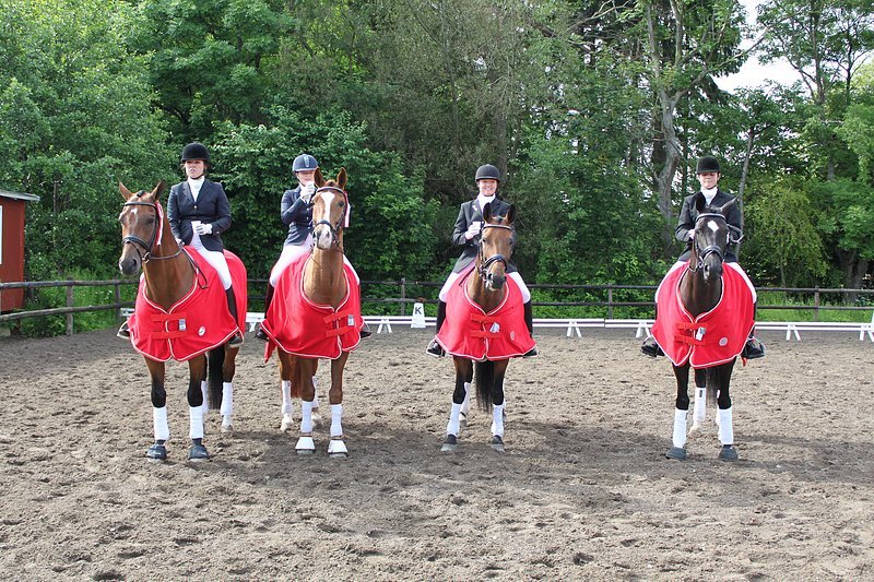 _06_20_d5_holdmesterskab_2010_309.jpg