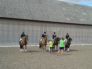 Bellingegård holdmesterskaberne 2013