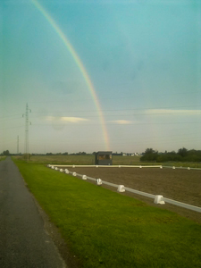 Regnbue over Sakskøbing Rideklub