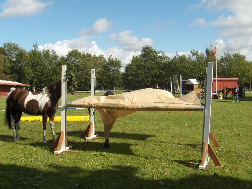 Agility Store Hestedag 2009