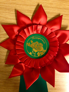 billede af den smukke rosen-roset de modtog som "bevis" på at ponytiden for altid er overstået