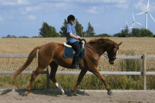 Tanja Lohse på Loulou
