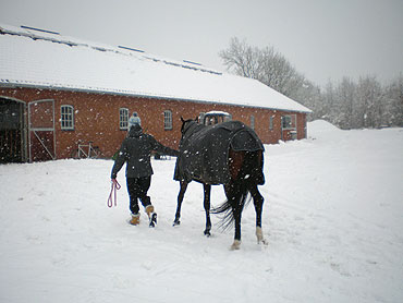 14. februar 2010