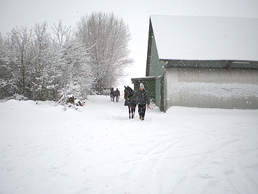 14. februar 2010
