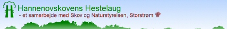 Besøg Hannenovskovens Hestelaug - Klik