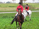 Hubertusjagt på Marienborg Gods 2010 - arrangeret af Storstrøms Jagtrideklub - foto: Pia Skibsted 
