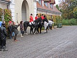 Hubertusjagt på Marienborg Gods 2010 - arrangeret af Storstrøms Jagtrideklub - foto: Pia Skibsted