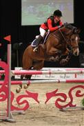 Josefine Voss Madsen og Louie til JBK Horseshow 2010