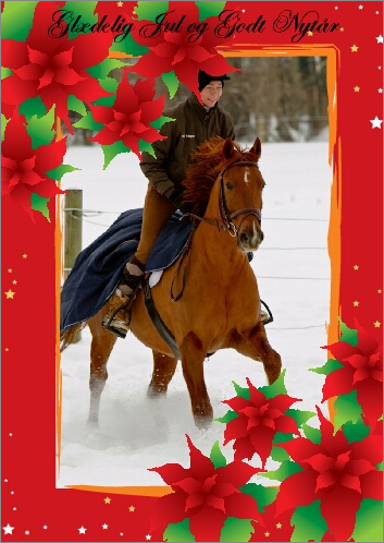 Glædelig Jul fra Webmaster og hans kone