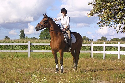 Signe Johansen og Matador