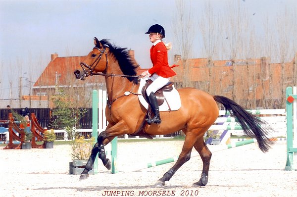 Monica B. Skibsted i Belgien