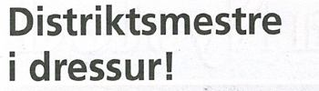 Artikel i Sakskjøbings Avis 18. september 2012 - klik for at se artikel