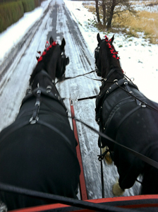 Ivan og Brutalis på vej til juleoptog.