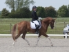 dsc_0089sydhavscup2014
