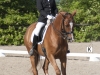 dsc_0676sydhavscup2014