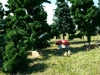 20150703_113251