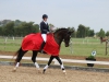 holdmesterskab-2014-312